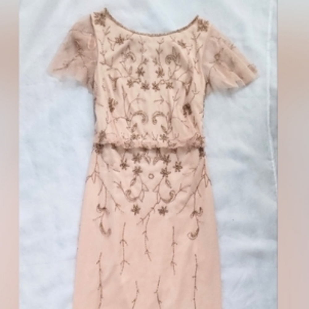 NWOT! Fall Boho Papell Studio Anthro Formal Women's Beaded Maxi Dress Small/4 - Picture 3 of 17